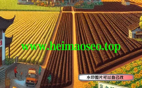 [seo培训速成班]-零基础入门必选：seo培训速成班详解与实战指南